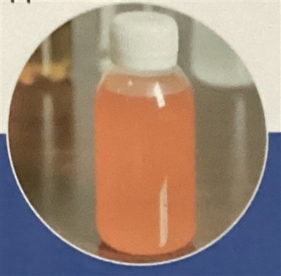 Tus neeg saib xyuas tshwj xeeb rau lub raj tooj liab